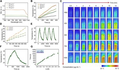 Tailoring mSiO2-SmCox nanoplatforms for magnetic/photothermal effect-induced hyperthermia therapy